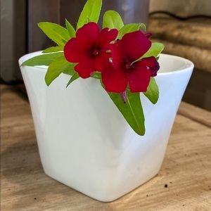 Meet your Posher, Denise